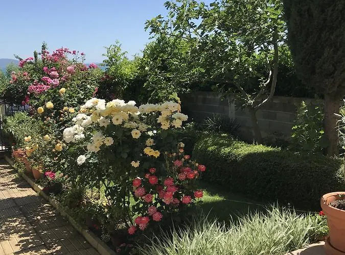 Briz 2* Μπουργκάς